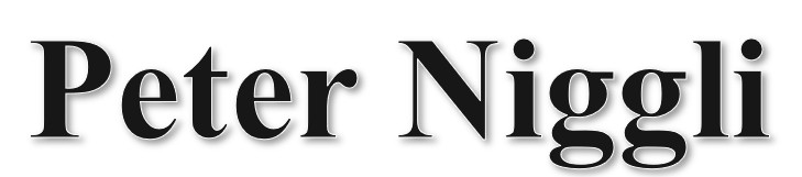 Publizist und Rechtsanwalt